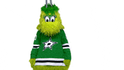 Dallas Stars No GIF by NHL