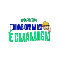Pfal Sticker by Prefeitura de Abreu e Lima