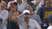 Major League Baseball Reaction GIF by Detroit Tigers