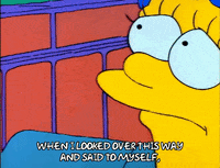 Season 1 GIF by The Simpsons