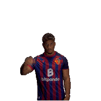 Football Soccer Sticker by FC Basel 1893