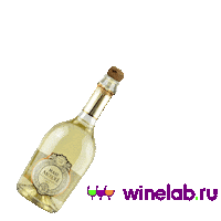winelab party drink cheers friday Sticker