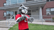 It'S Time Waiting GIF by Clark University