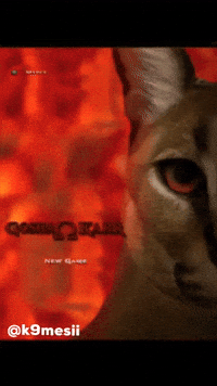 Gosha GIF