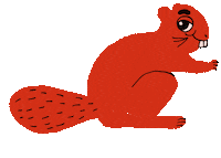 Beaver Camping Sticker by Mini Rodini