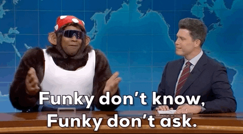 Snl GIF by Saturday Night Live