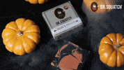 Pumpkin Seed Halloween GIF by DrSquatch