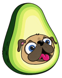 Pug Avocado Sticker by mypugandco