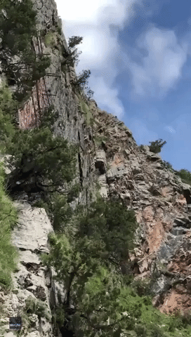 Video of Sheep Hanging Out on Cliff Face Baffles Internet