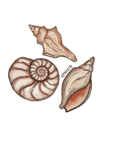 Beach Chico Sticker by The Charles Group