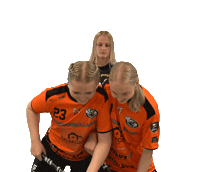 Sport Floorball Sticker by F-liiga