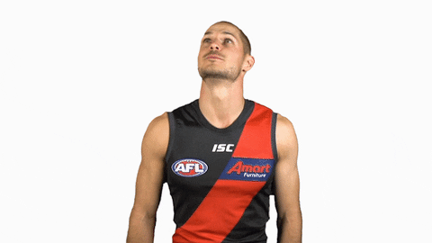 essendonfc giphyupload dons bombers essendon GIF