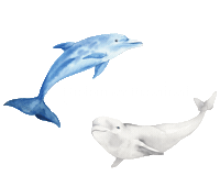 Theme Sticker by bimunsinub