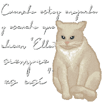 Angry Cat Sticker