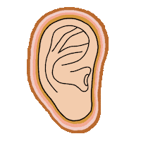 Ear Audiology Sticker