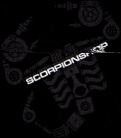 Abarth GIF by AbarthclubTorino