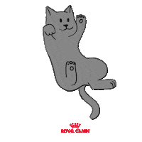 Meu Gato No Vet Sticker by Royal Canin Brasil