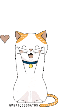 portodosgatos love cat amor gato Sticker