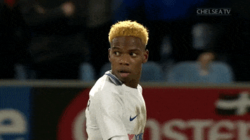 GIF by Chelsea FC