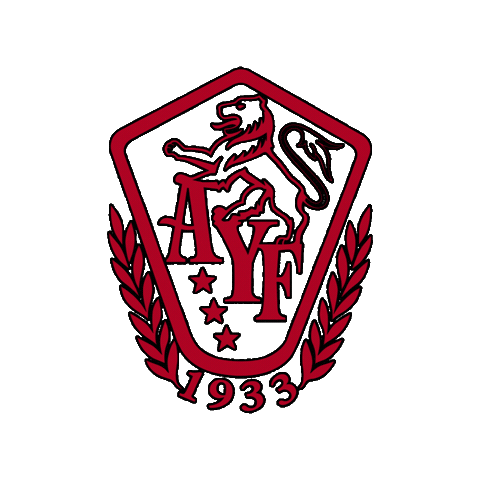 AYF-YOARF olympics youth arf armenian Sticker