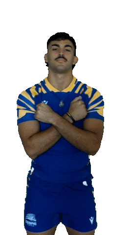 Rugby Italia Sticker by Zebre Parma