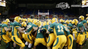 north dakota state football GIF by NDSU Athletics