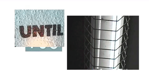 julia michaels miguel GIF by RL Grime