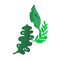 Summer Autumn Sticker