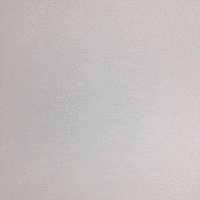 animation art GIF by Evan Hilton