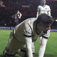 Celebration Hug GIF by MillwallFC