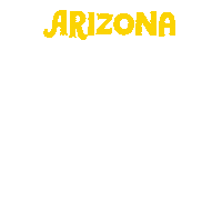 Election 2020 Phoenix Sticker by Creative Courage