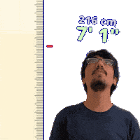 7 Foot 7Ft Sticker