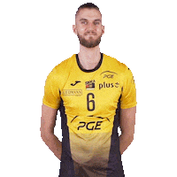 Volleyball Ok Sticker by PGE Skra Bełchatów