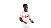 jhon cordoba soccer Sticker by 1. FC Köln