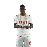 Fc Cologne Bundesliga Sticker by 1. FC Köln