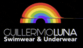 GuillermoL pride cdmx guillermoluna GIF