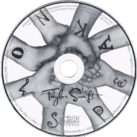 taylor swift STICKER