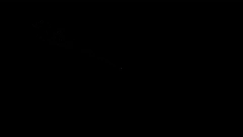 GIF by pocmedia