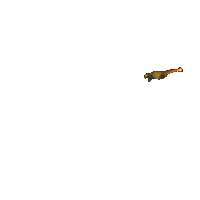 Flying J Balvin Sticker by Pokémon