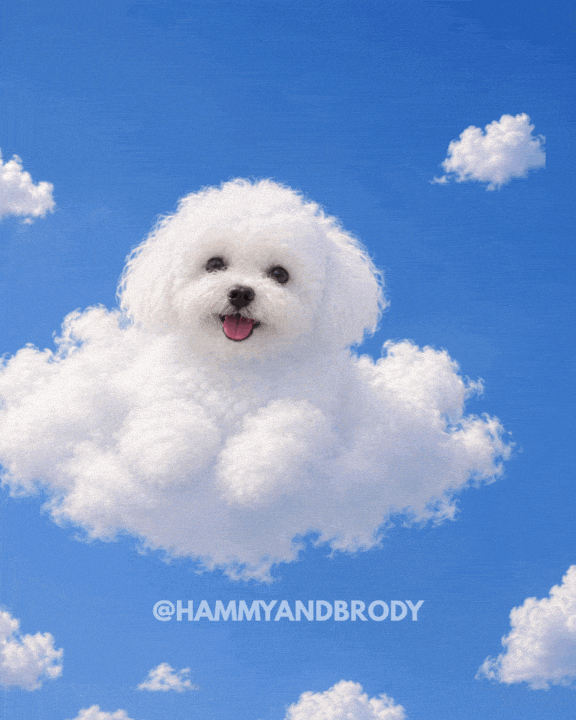 Grinning Cloud 9 GIF by HammyandBrody