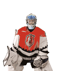 Hockey Hello Sticker by Ľubovnianski Rytieri