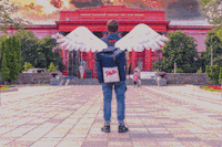 Gastrofamily angel delivery philadelphia courier GIF