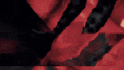 Glitch Horror GIF by Wired Productions