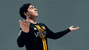 eu lcs vitality GIF by lolesports