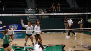 athletics volleyball GIF by GreenWave