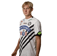 Come On Fly Sticker by SK Sturm Graz