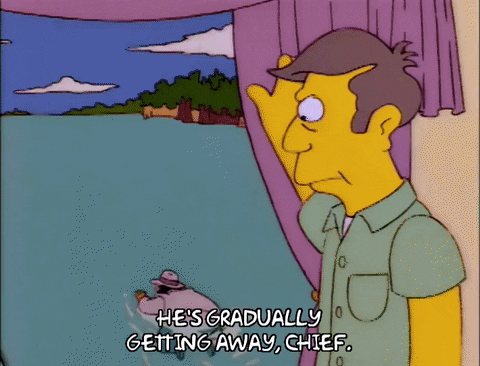 the simpsons episode 24 GIF