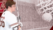 Roll Pards GIF by Lafayette Leopards
