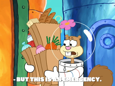 season 7 episode 20 GIF by SpongeBob SquarePants