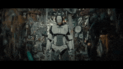 Butterflies GIF by Missio